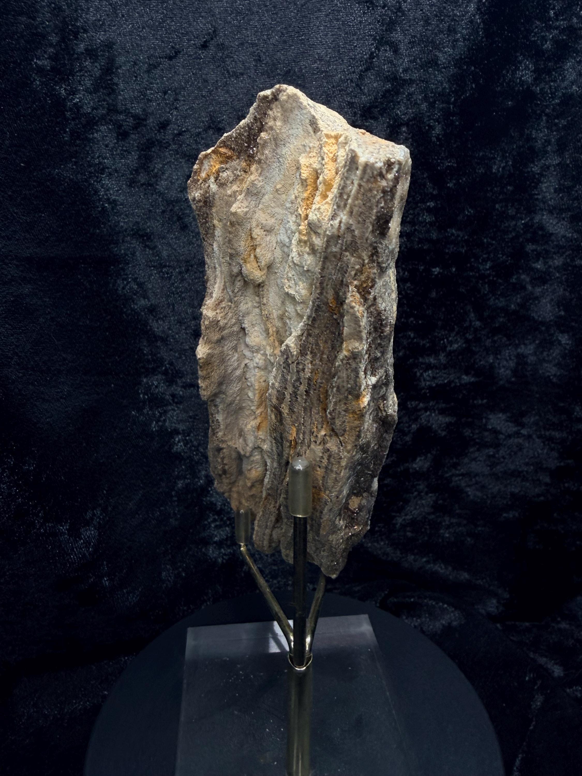 Brilliant Alabama petrified wood with micro druse.