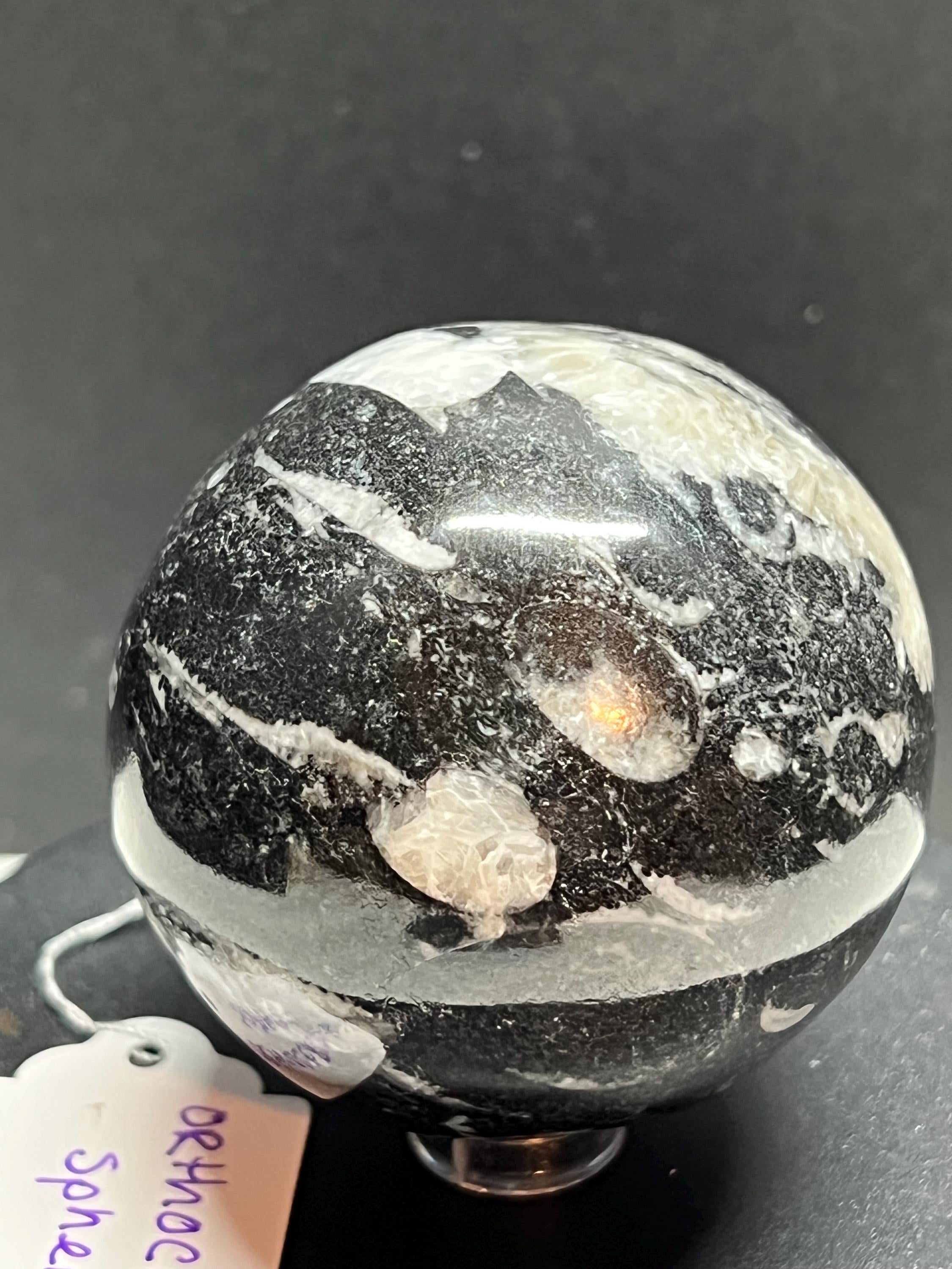 Orthoceras Fossil Sphere, Polished Limestone Display Specimen