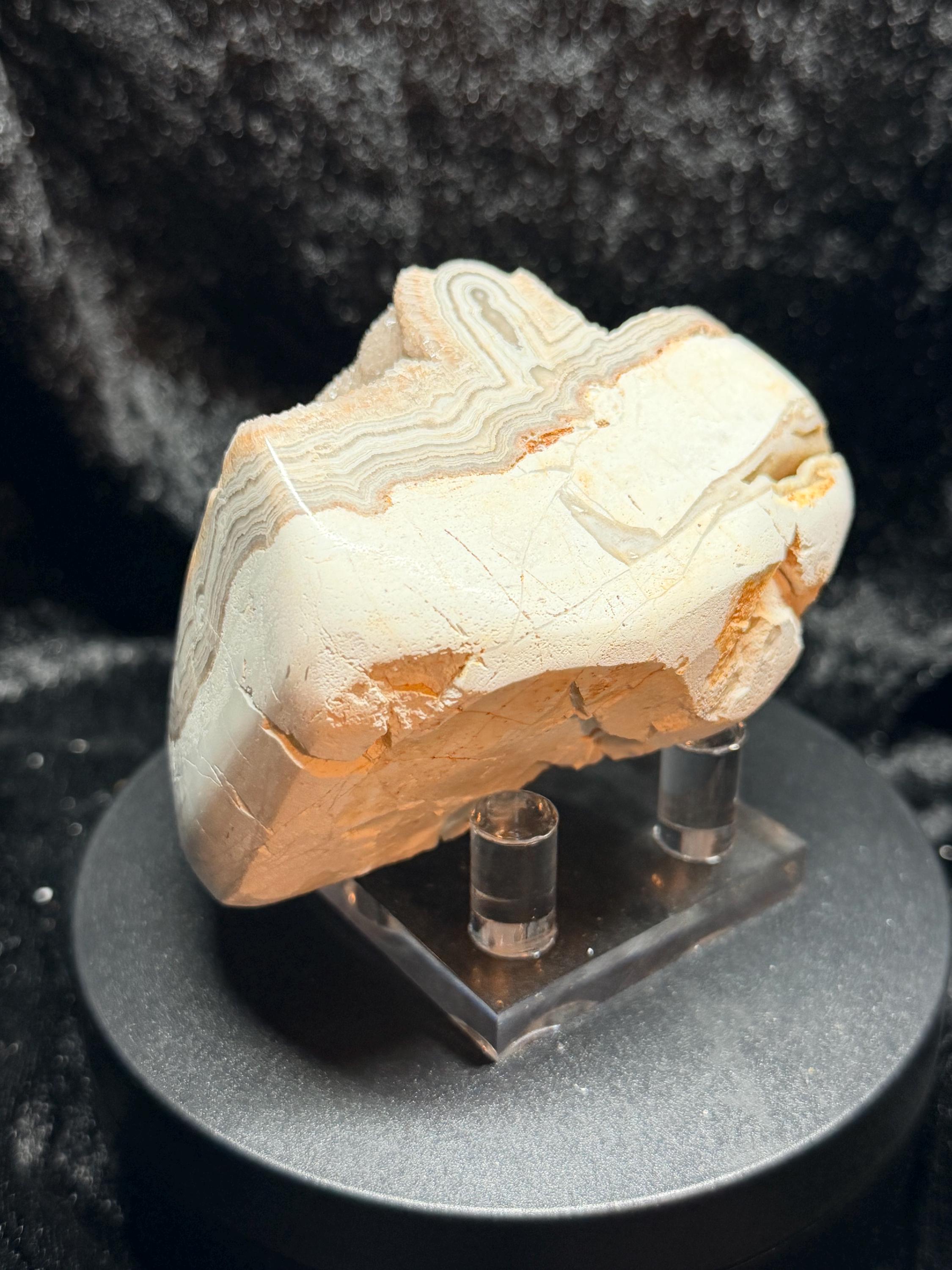 Polished Summerville agate from Patty’s Pit Ga.