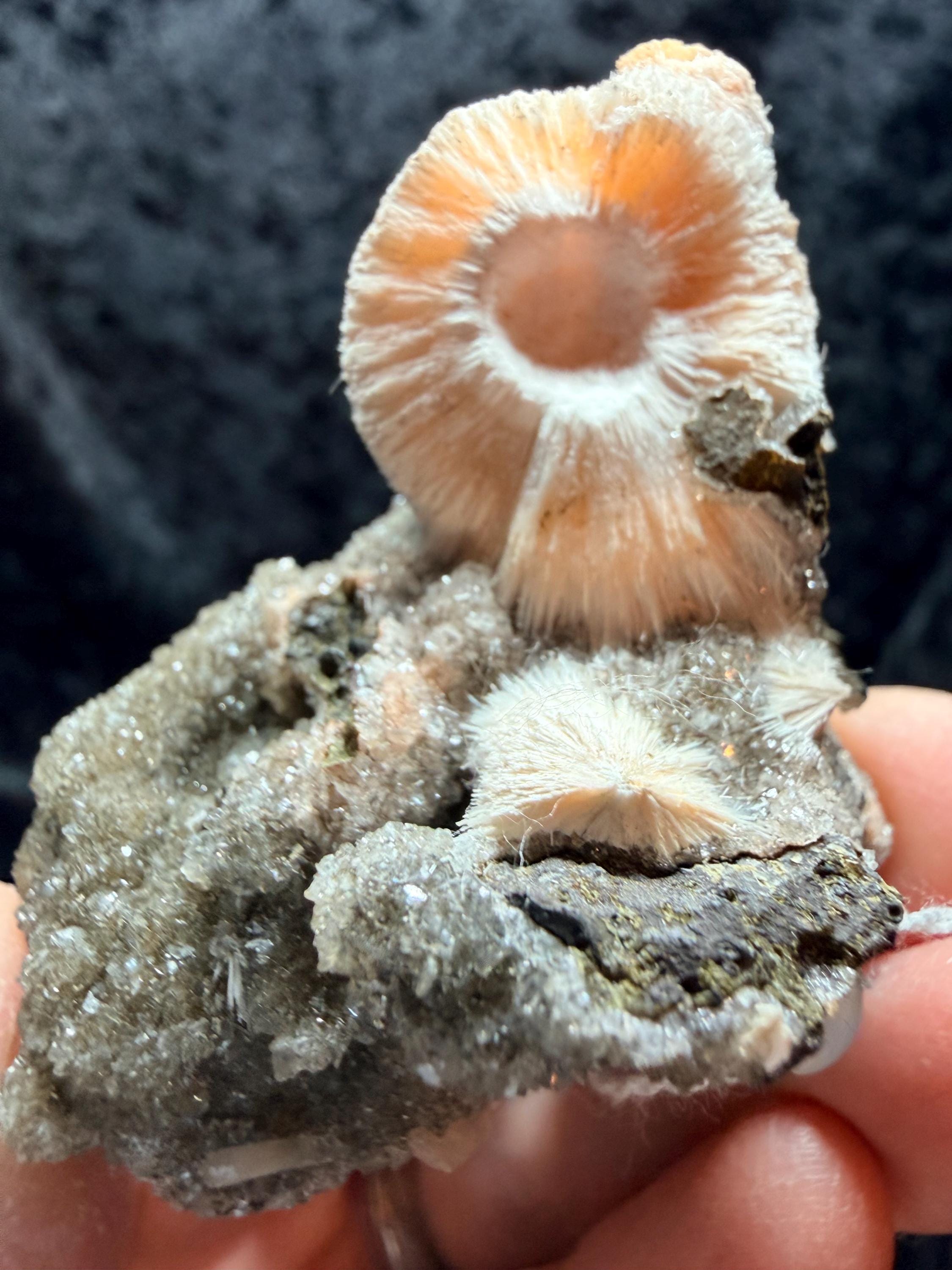 Thomsonite Specimen: Zeolite Mineral