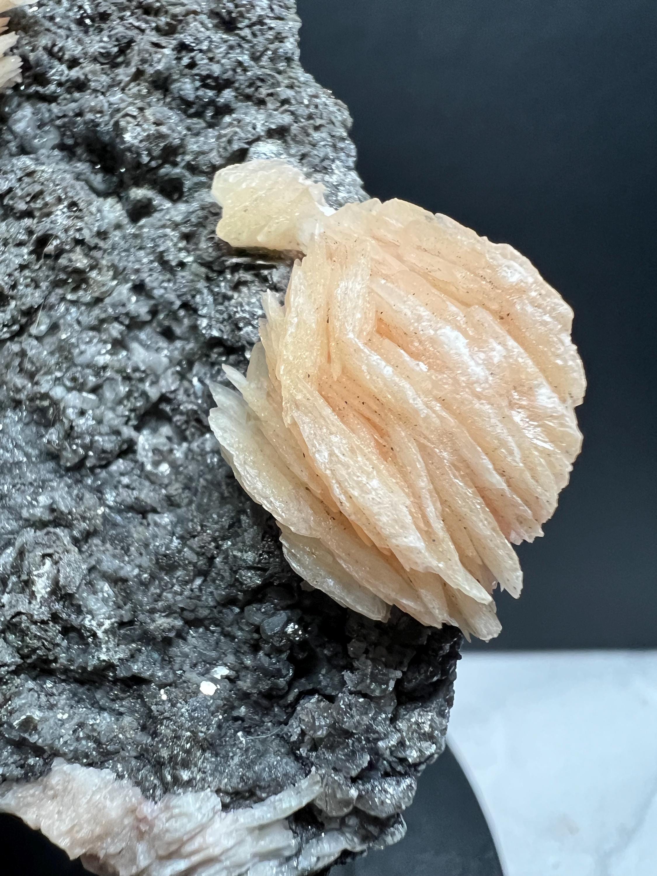 Pink Barite on Galena