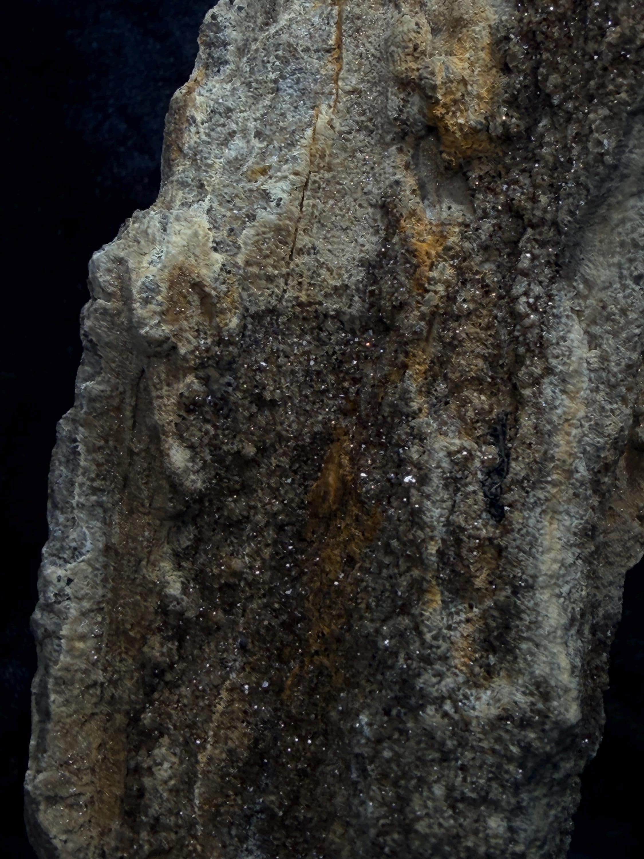 Brilliant Alabama petrified wood with micro druse.