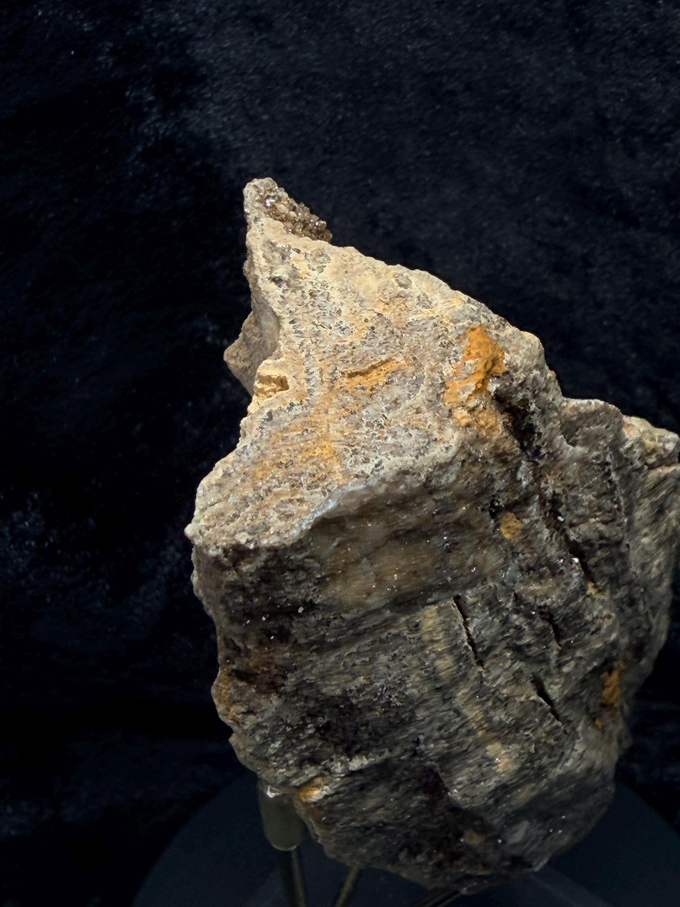 Brilliant Alabama petrified wood with micro druse.