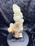 Chalcedony Coral Stalactite: Druzy UV Reactive Crystal