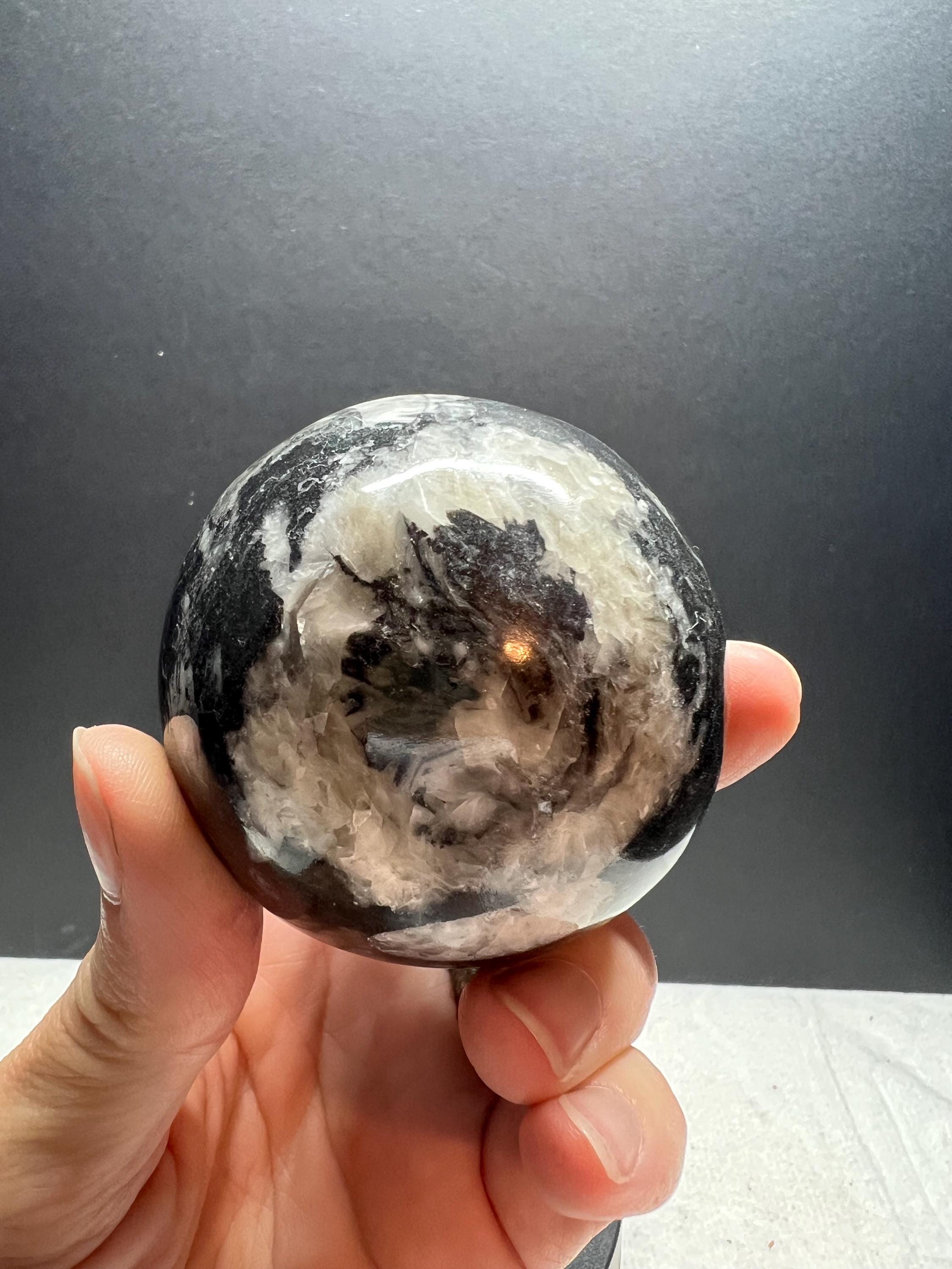 Orthoceras Fossil Sphere, Polished Limestone Display Specimen
