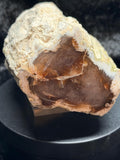 Polished Petrified wood with natural raw sides