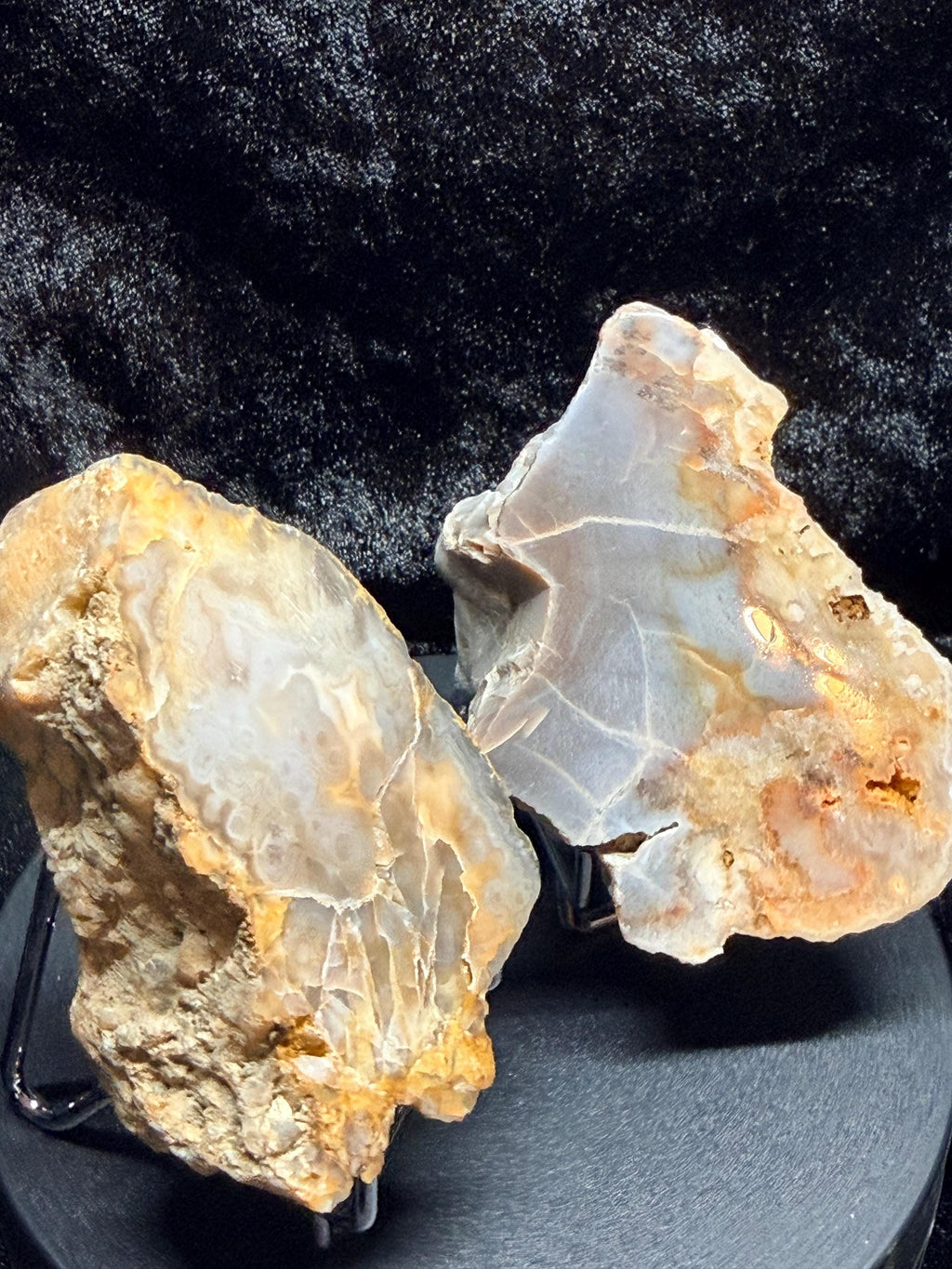 Polished Kentucky agate pair.